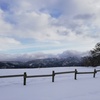 雪原