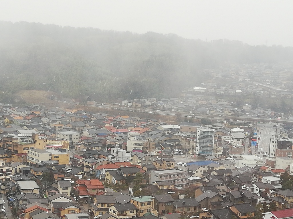 雪の舞う風景