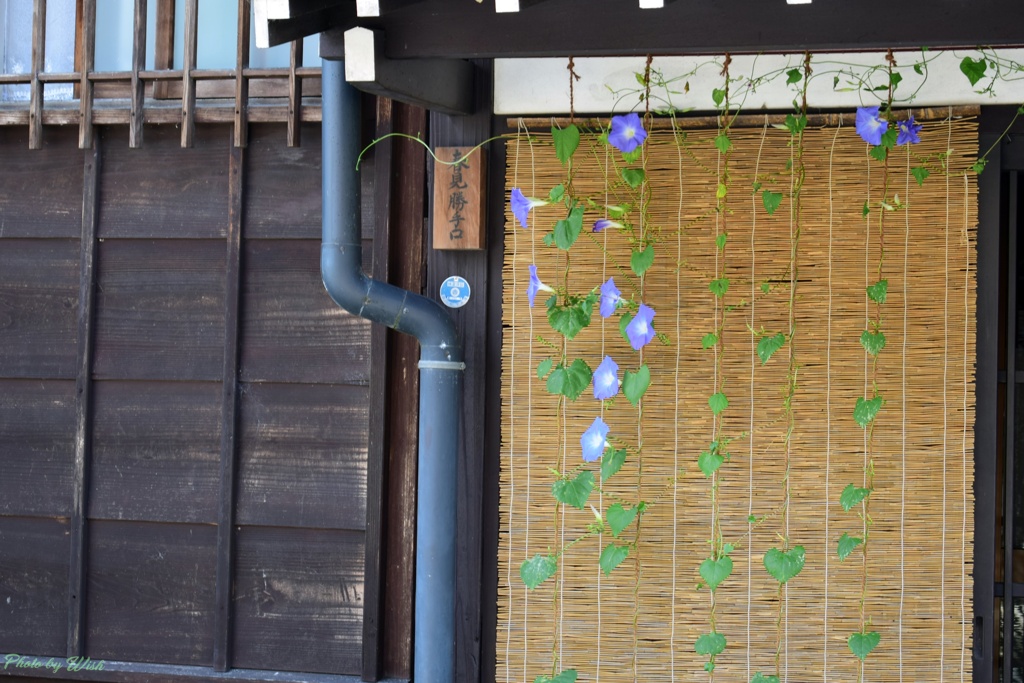 夏の飛騨古川の風景