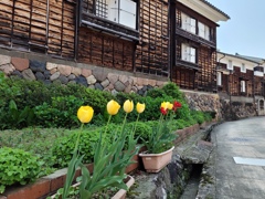 城端　土蔵の春