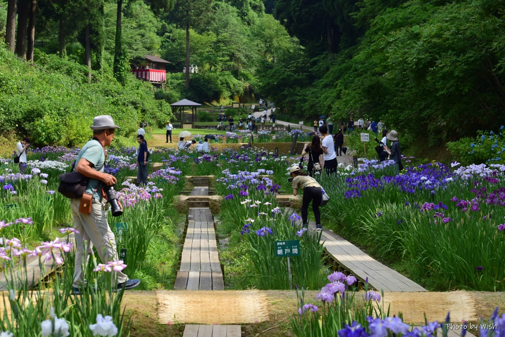 花道を歩く