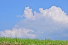 夏空