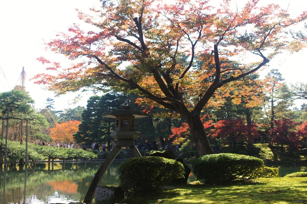 兼六園：徽軫灯籠