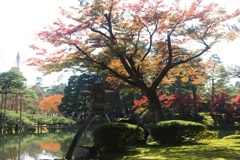兼六園：徽軫灯籠