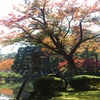 兼六園：徽軫灯籠