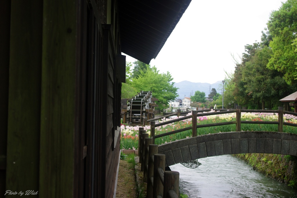 水車小屋からの眺め