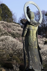 救いを