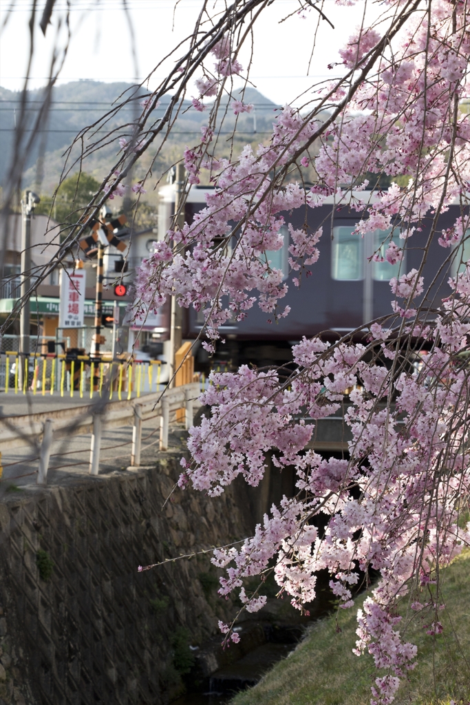 近場にて