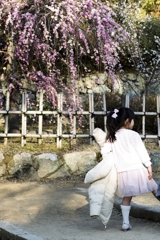 花とつぼみ