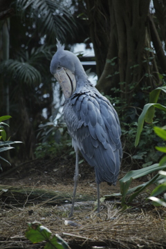 俺の後ろに立つな