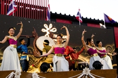 タイは舞い踊る１５