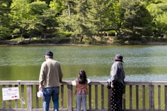 孫連れて