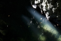 秋の水