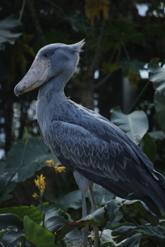 レリーフモード