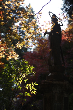 観音様は何を想うか