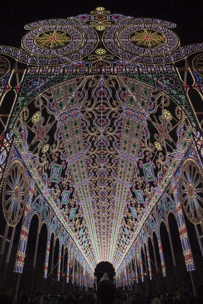 電飾の蛍４