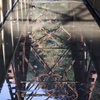 雨上がり