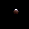 皆既月食13