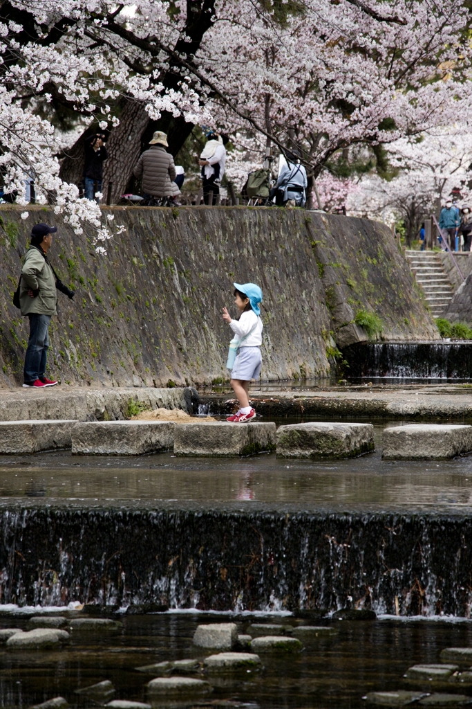 視線の先