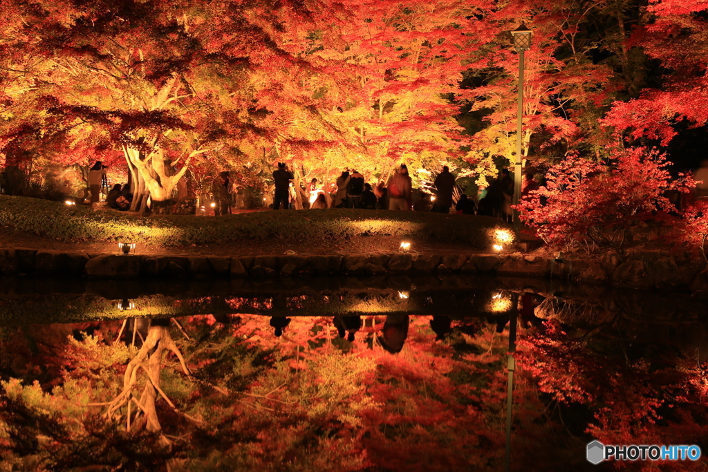 曾木公園のもみじです。