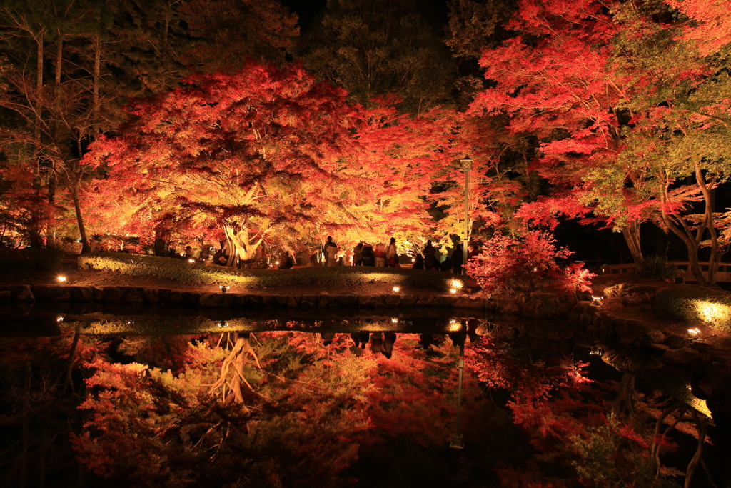 曾木公園もみじ