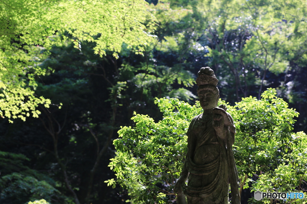 林の中に観音像（瑞巌寺）