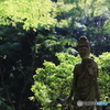 林の中に観音像（瑞巌寺）