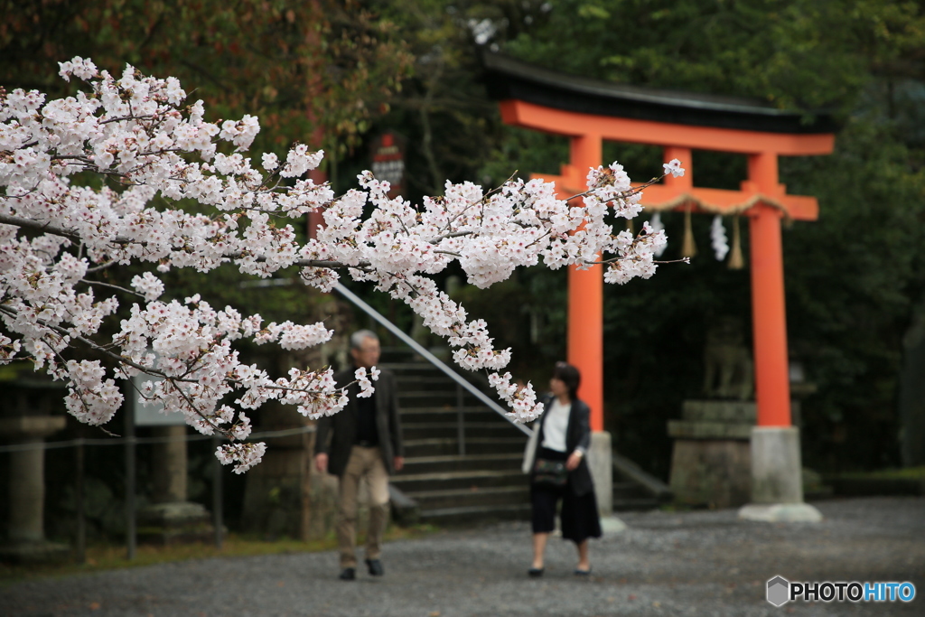 宇治神社