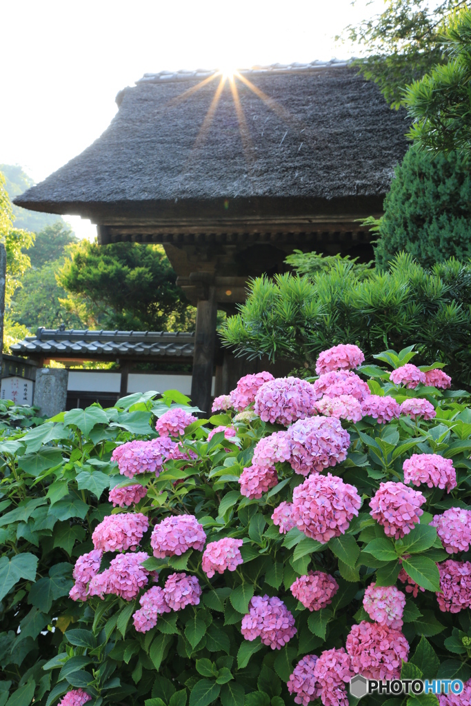 極楽寺（鎌倉）