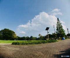 夏そら
