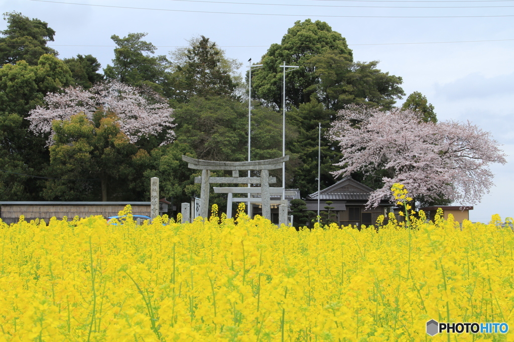 伊勢寺神社