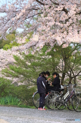 ちびっこ広場の少女たち