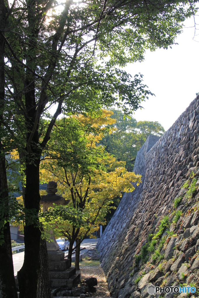 秋の松阪城