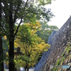 秋の松阪城