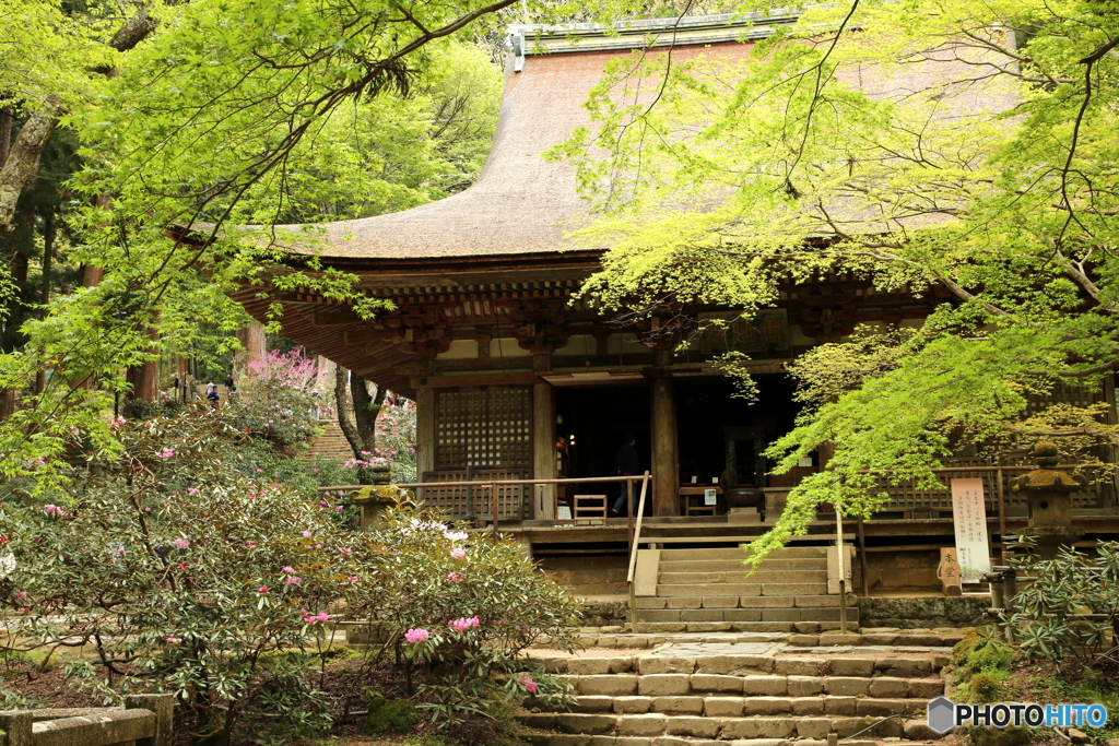 室生寺（本堂）