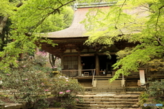 室生寺（本堂）