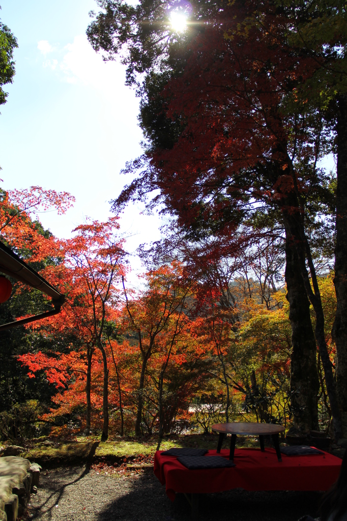 高雄山　神護寺