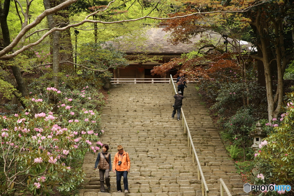 室生寺（鎧坂）