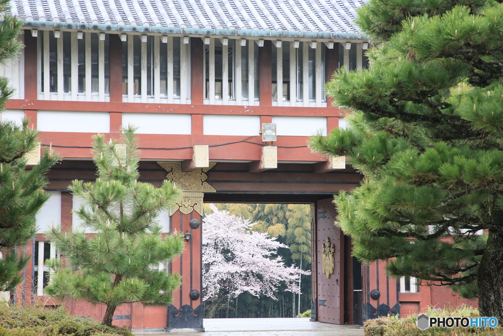 伏見桃山公園