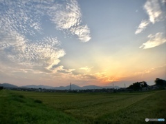 夕陽