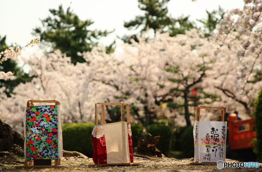 九華公園 さくらまつり