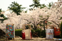 九華公園 さくらまつり