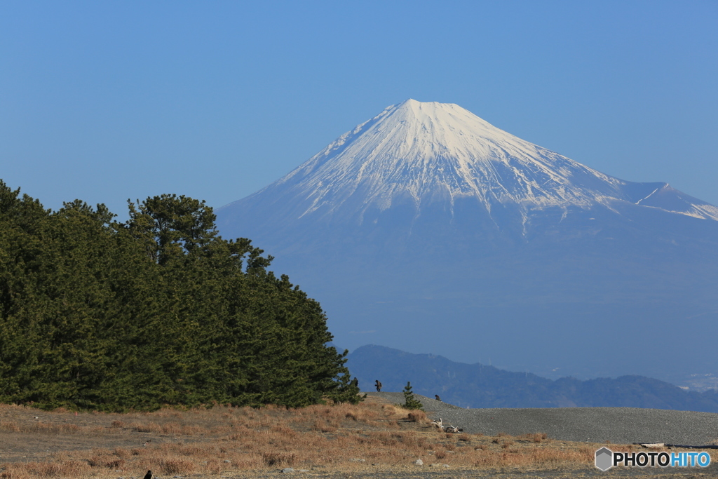 富士の白雪ヨ～～イヨイ