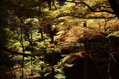 花筐公園1