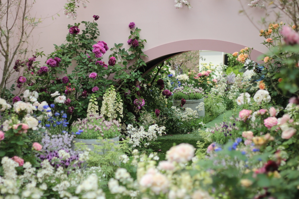 国際バラとガーデニングショウ2016_3