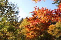 花筐公園2