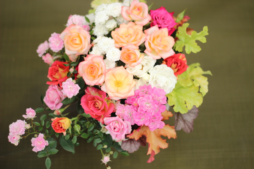 国際バラとガーデニングショウ2016_7