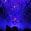 湘南シャンデリア