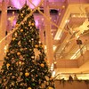 横浜ランドマークタワーのクリスマスツリー