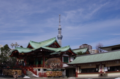 亀戸天神